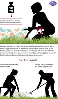 Sommerzeit – Gartenzeit: Auf die Knie, fertig, los!